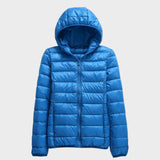 Violet — Jacket